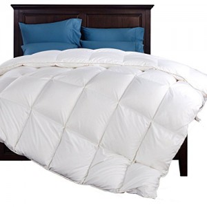 size of twin xl duvet cover